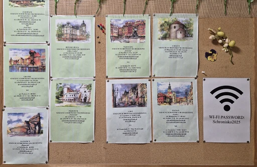 Bezplatné WiFi v hostelu